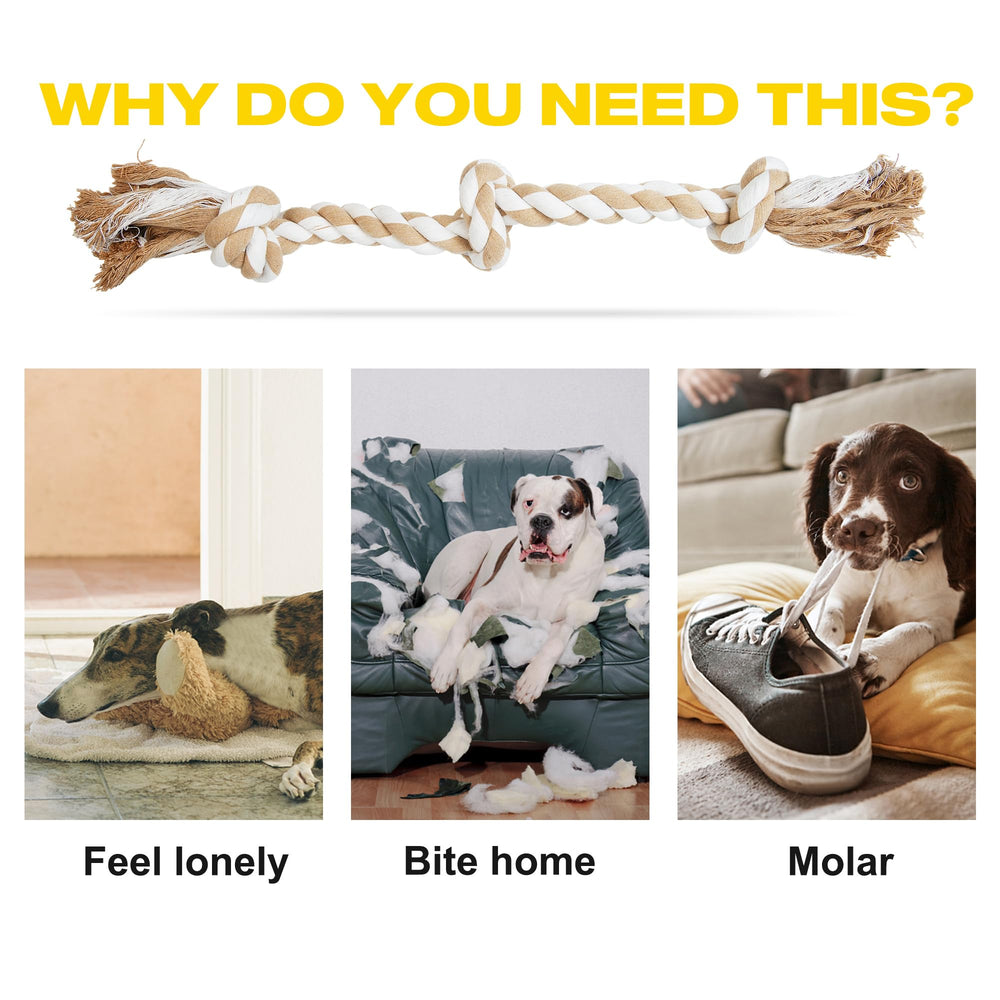Fida indoor-outdoor dog rope toy for versatile play and exercise.