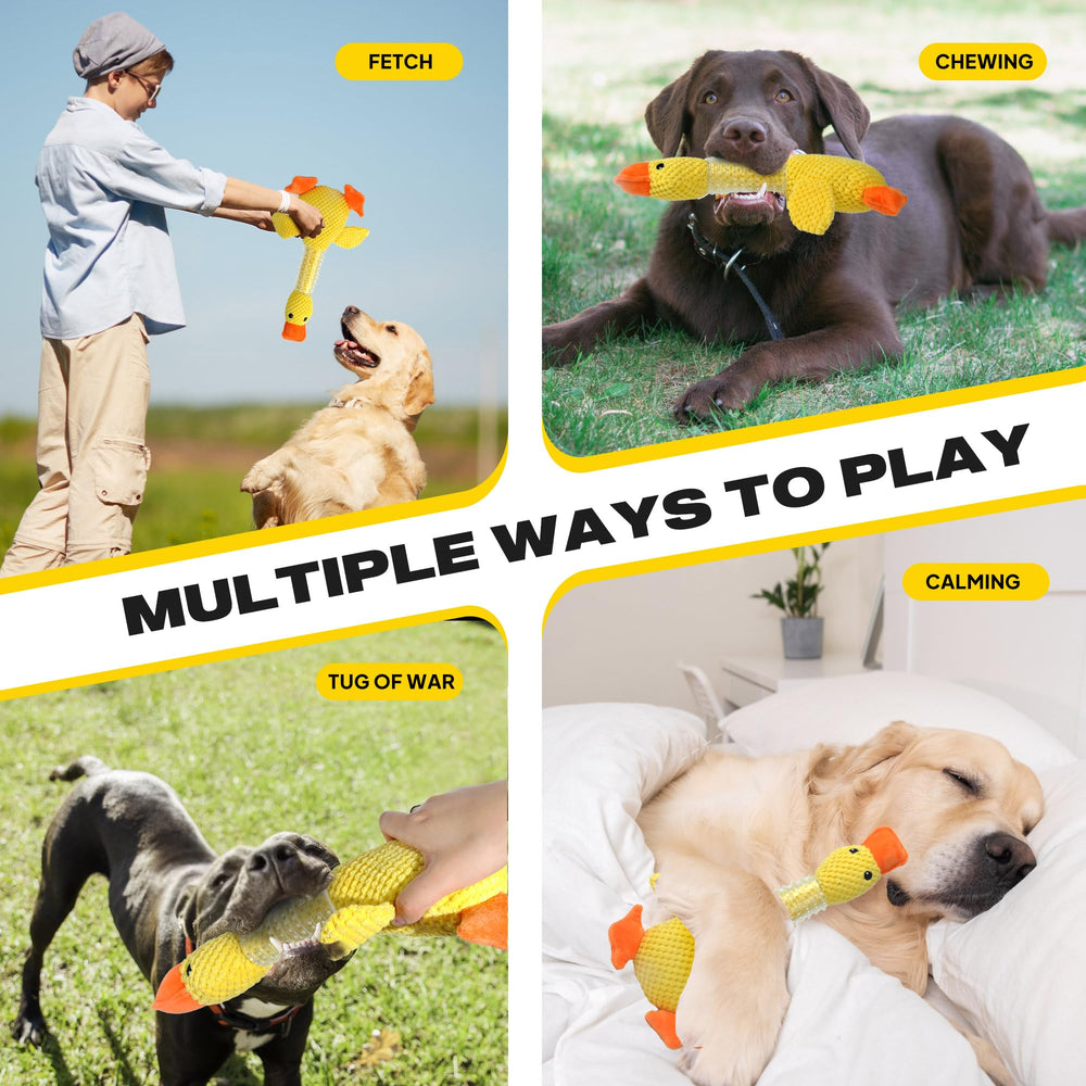 Fida interactive dog toy fetch-tug showcases versatile play for bonding and exercise.