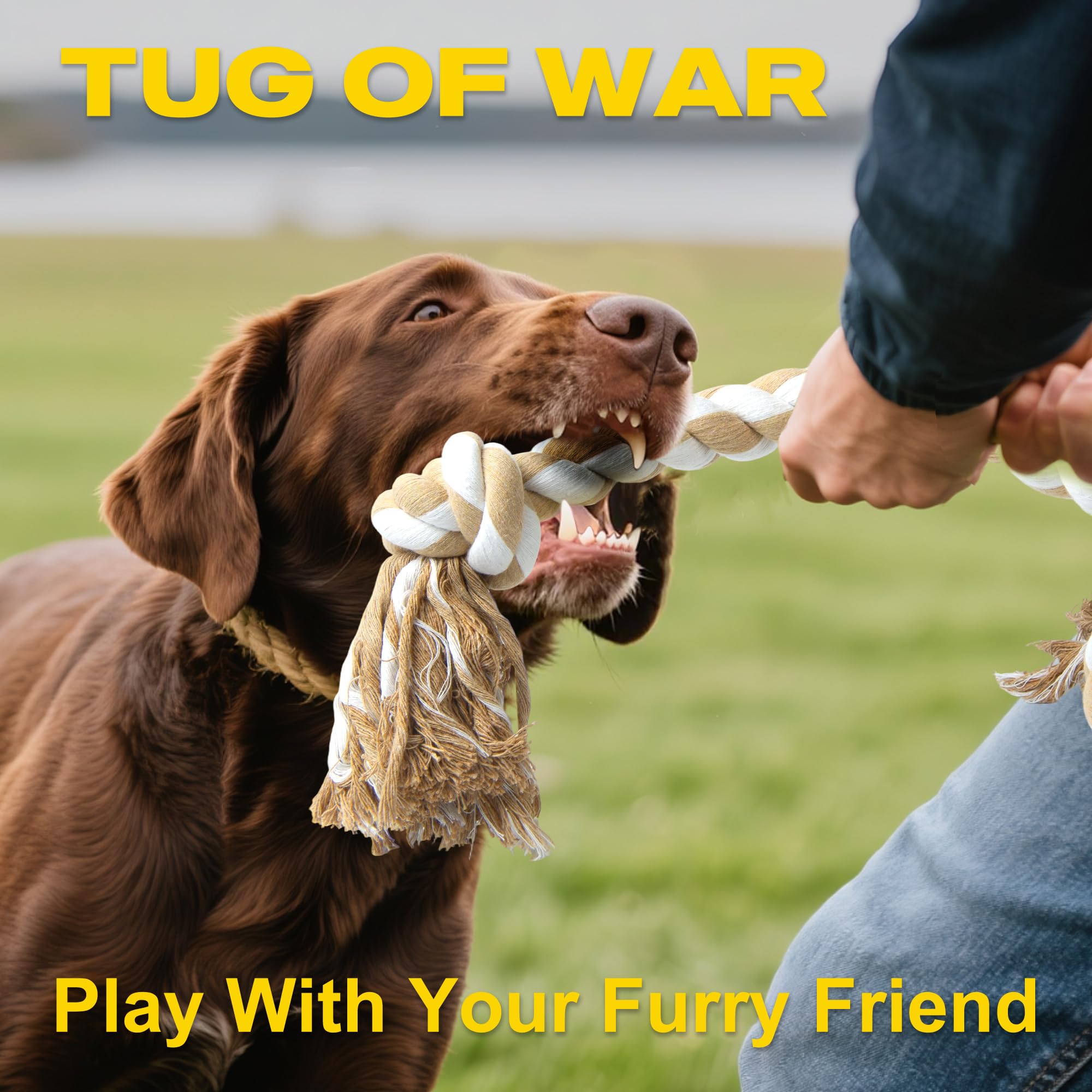 Fida natural cotton rope toy ideal for safe daily chewing and easy cleaning.