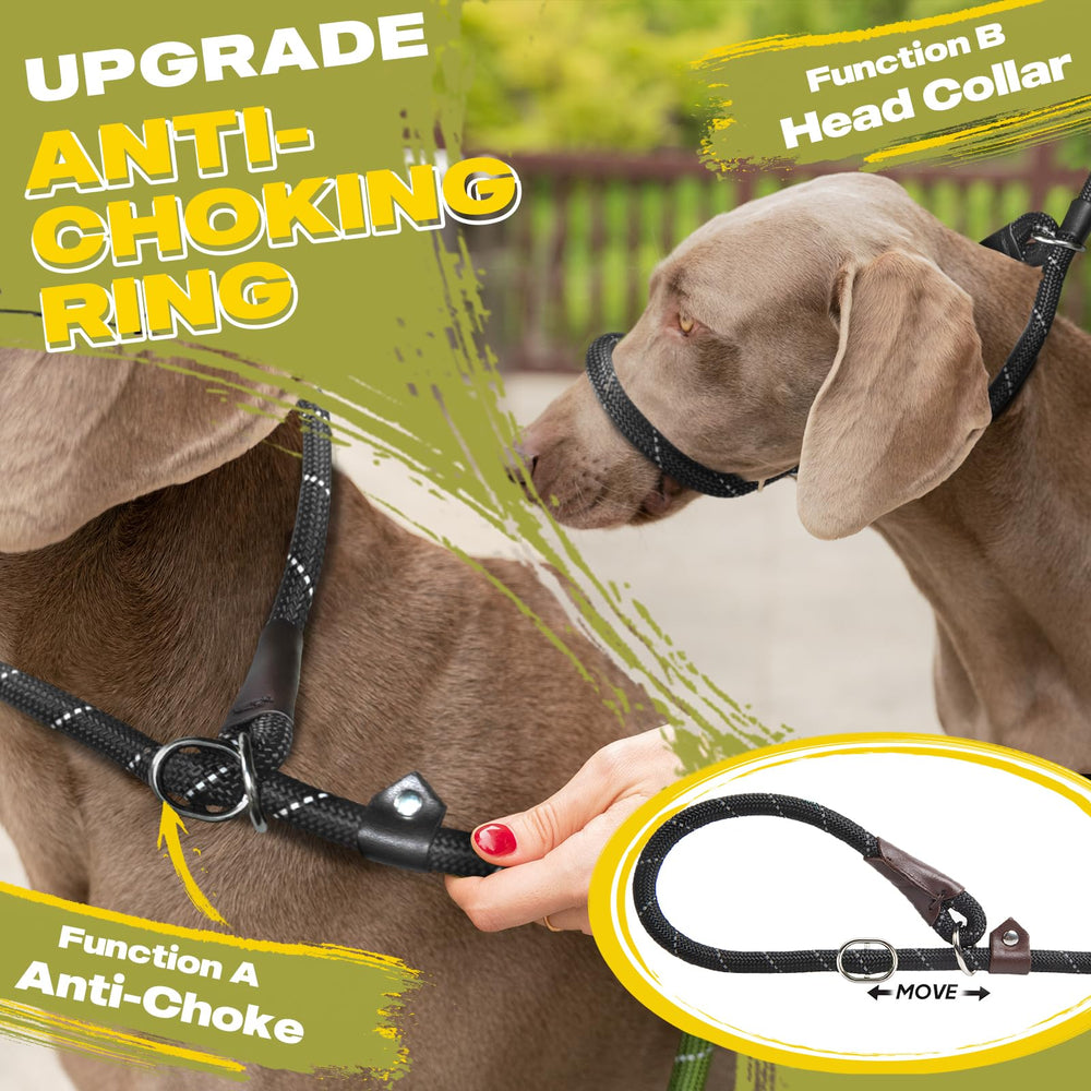 Fida reflective slip lead visible at night for safer evening walks.