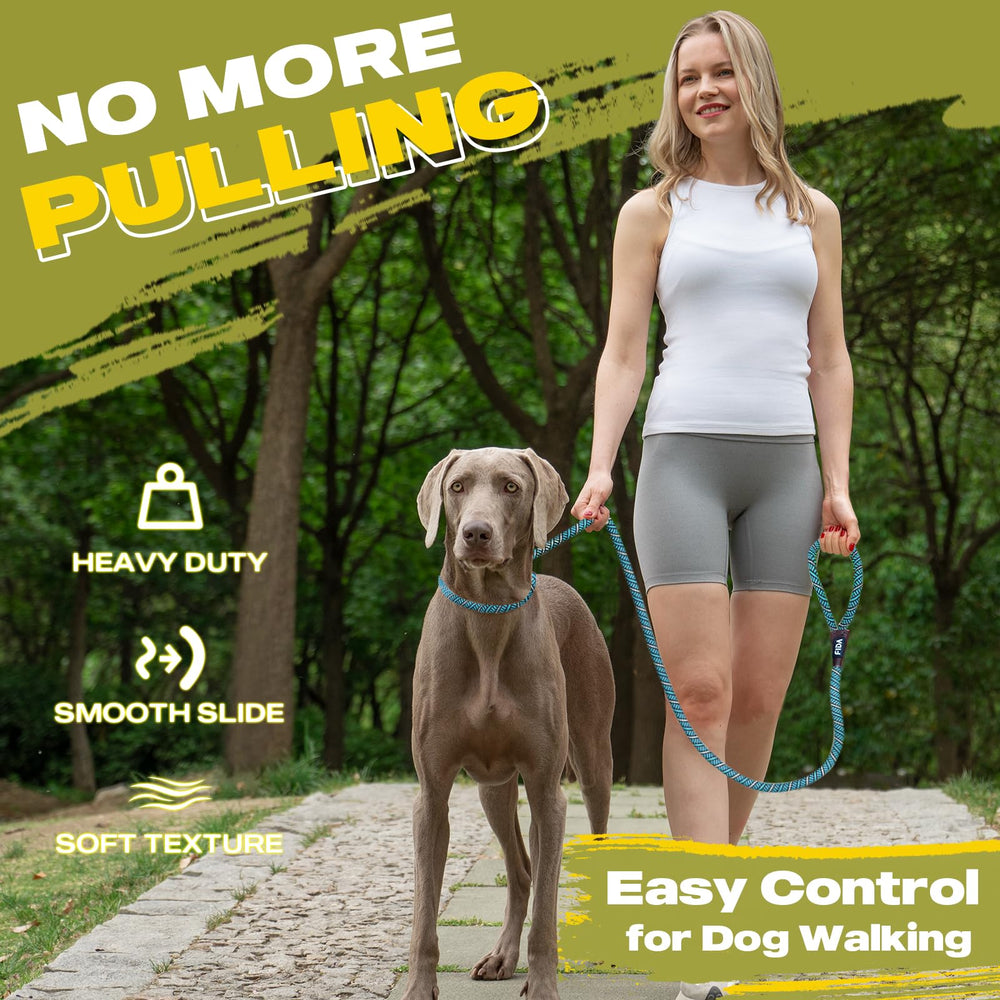 Fida slip lead with reflective night safety for high-visibility evening walks