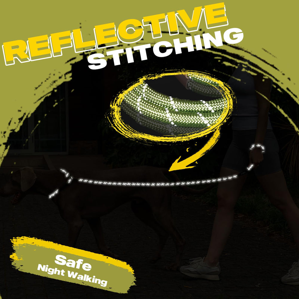 Fida slip lead training use aids correct behavior while maintaining distance.