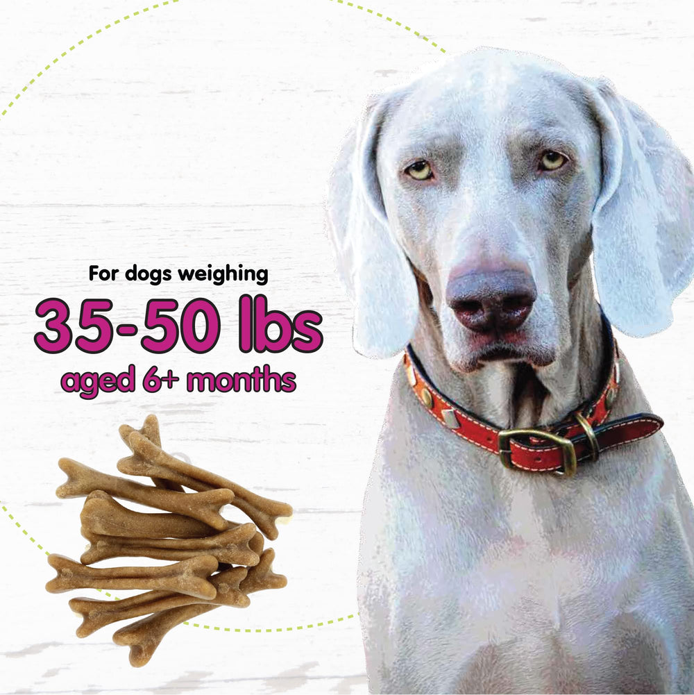 8 oz Belly Bones bag highlighting plaque and tartar control benefits