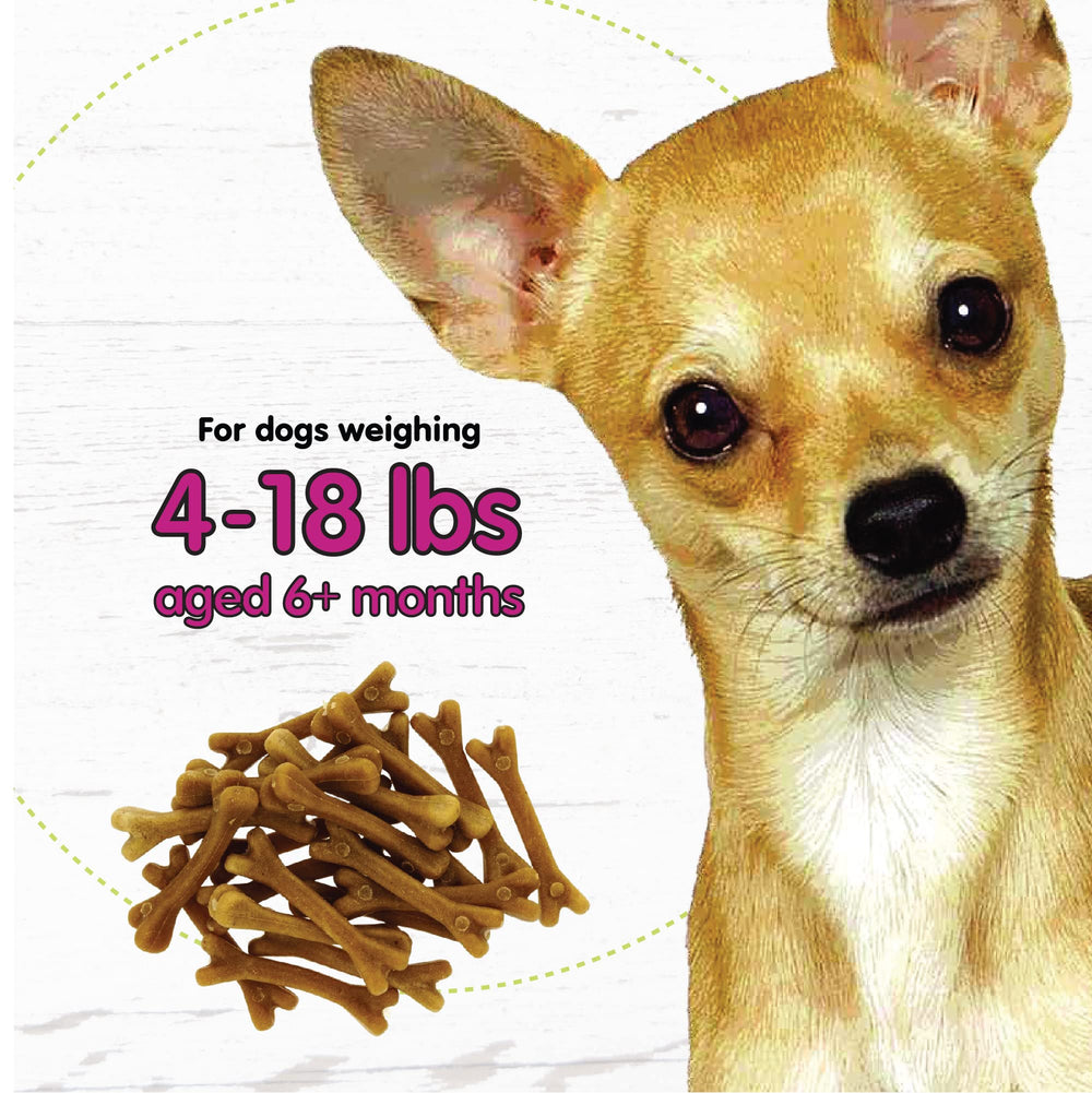 Fido Belly Bones yogurt-flavor mini bones offer palatable dental care.