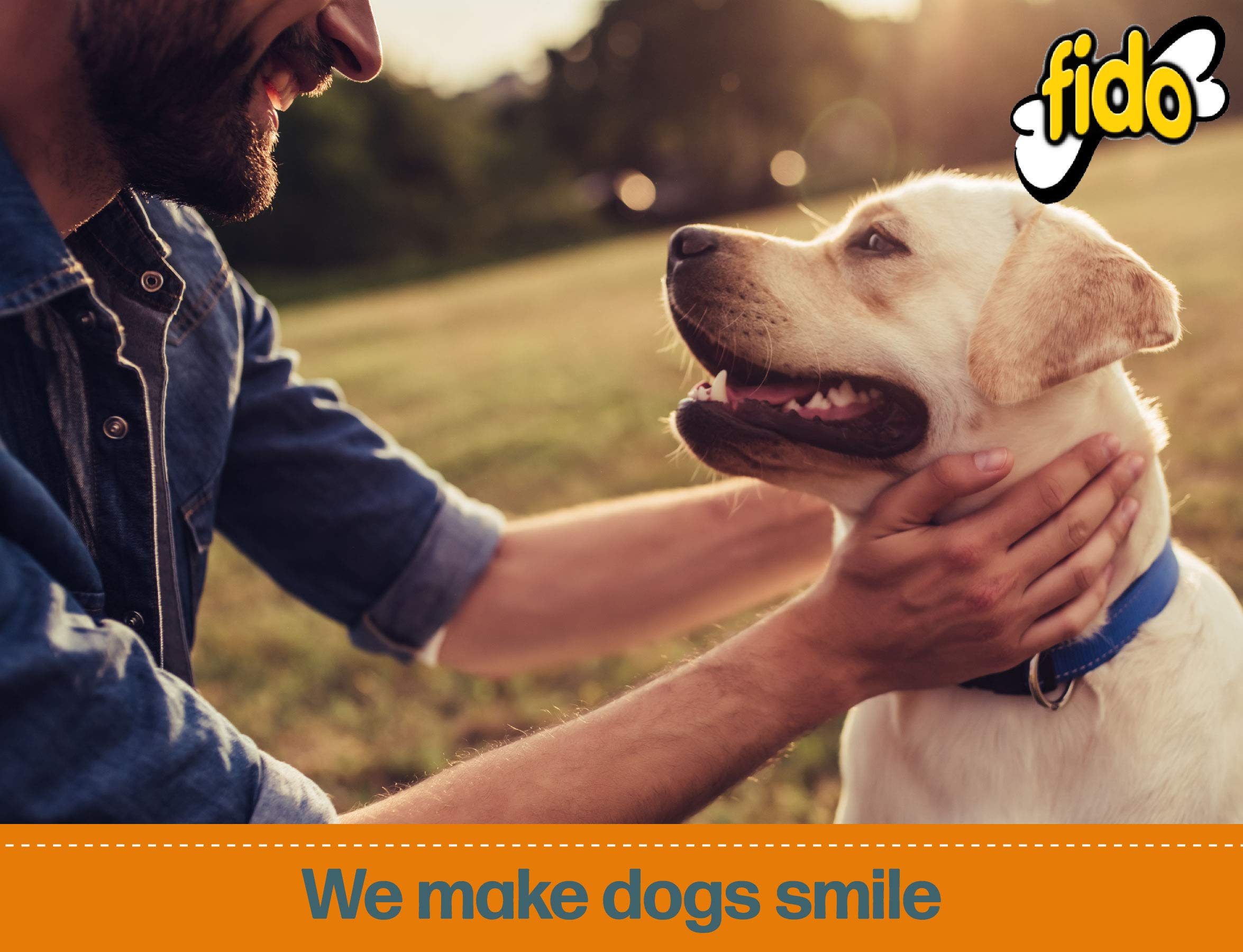 Fido Doozie Bones small-dog use image for 4–18 lb dogs.