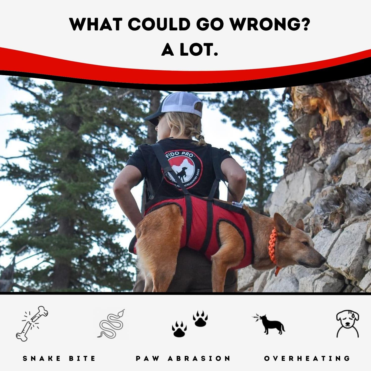 Fido Pro Airlift 8-point support system cradling a dog during carry.