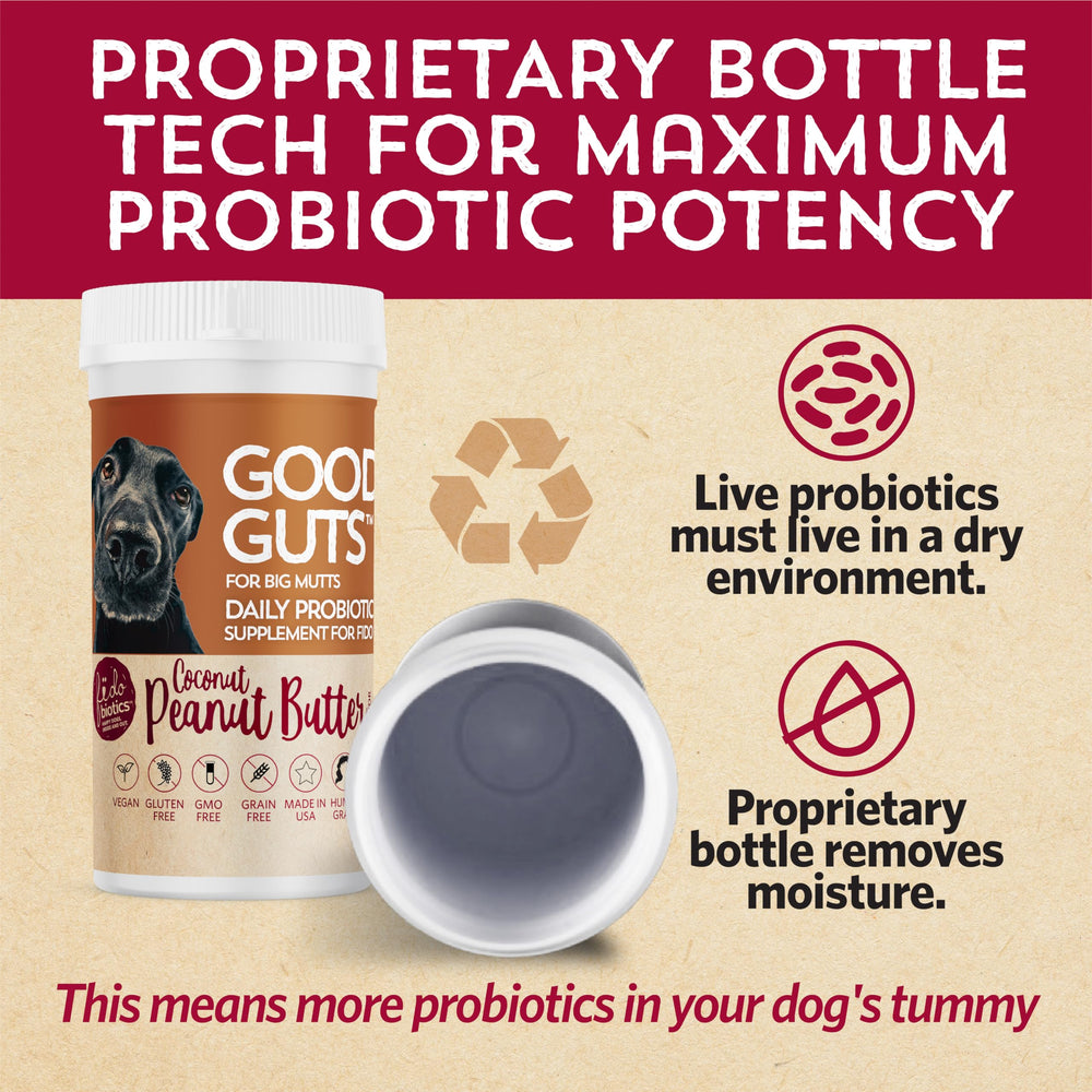 Fidobiotics Good Guts 11-strain blend image highlights diverse gut support.