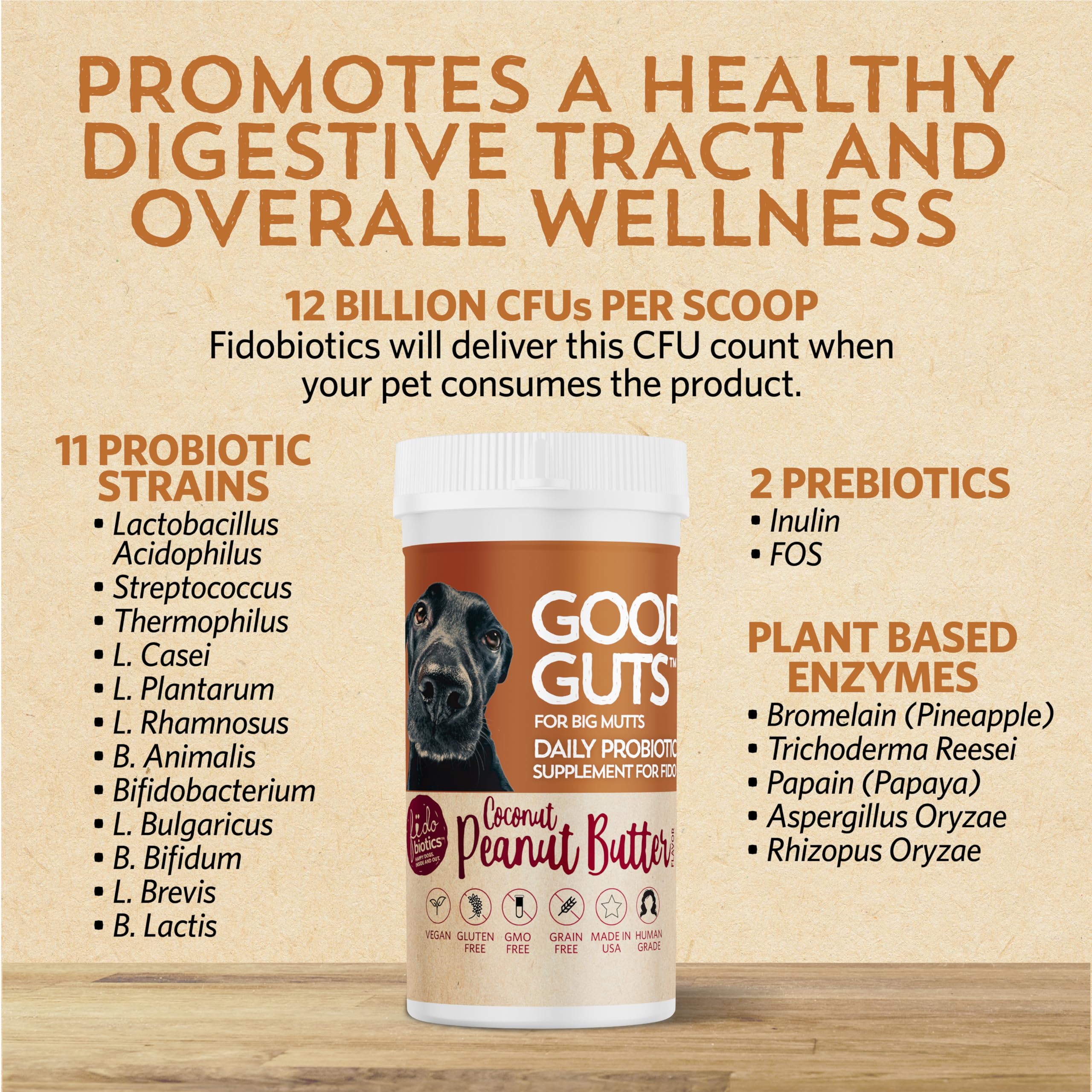 Fidobiotics Good Guts with prebiotics illustration shows symbiotic gut health.