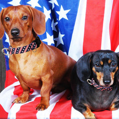 Fidohug navy flag collar detail emphasizes patriotic pattern and comfortable fit.