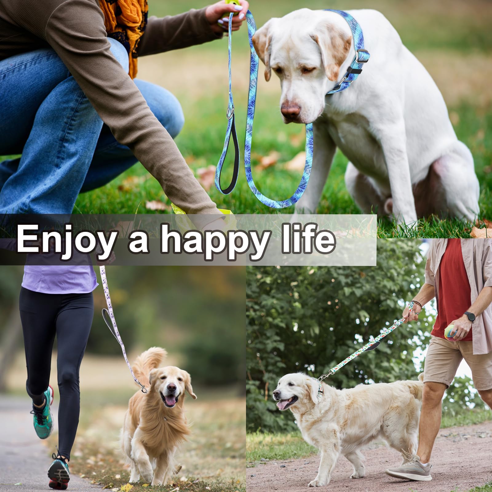 Fidohug blue space leash ready for daily walks, hiking, and training sessions.