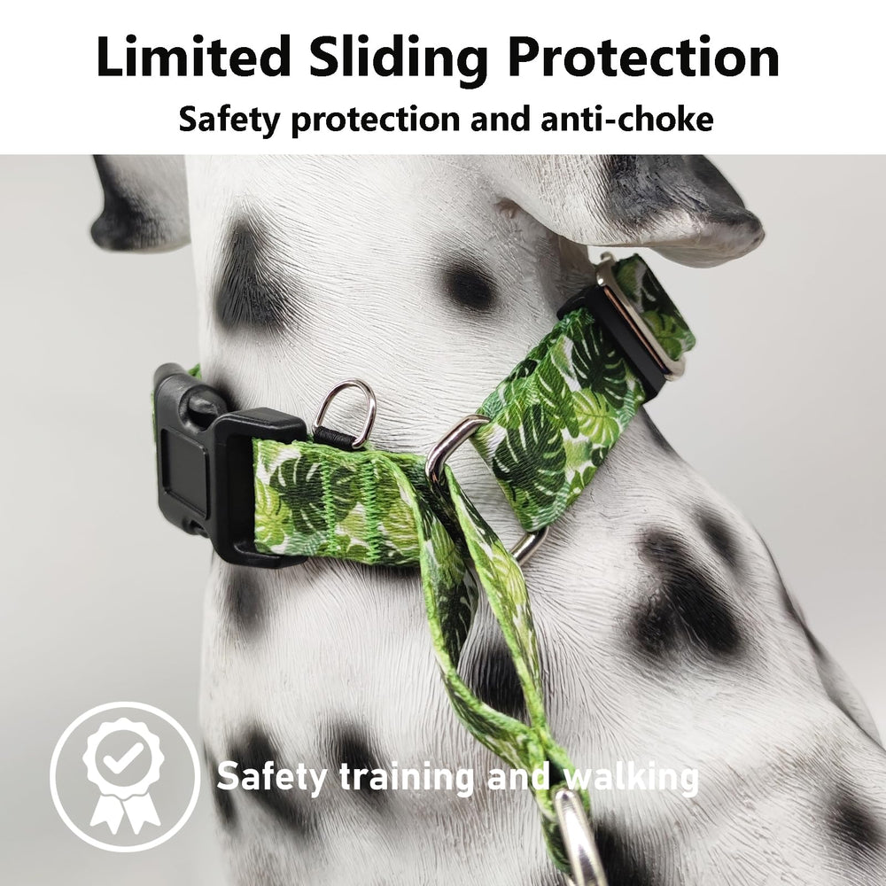 Fidohug designer collar training and walking for working dogs