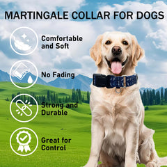 Fidohug dog-walking strap showcases reliable everyday use