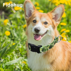 Fidohug palm-leaf pattern designer collar walking-ready style