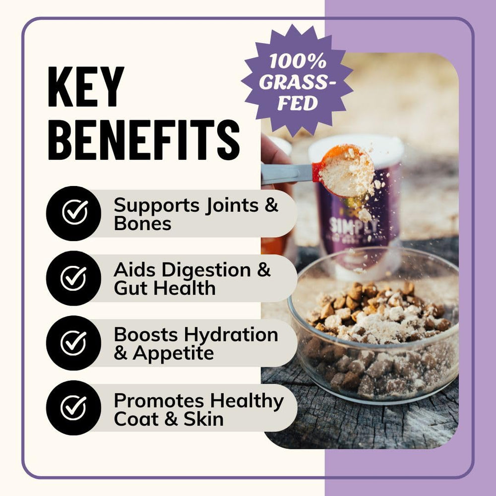 Fido's bone broth powder scoop showing simple portioning for meals.
