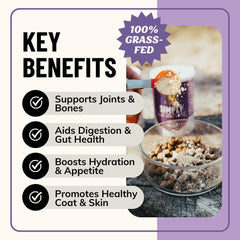 Fido's bone broth powder scoop showing simple portioning for meals.