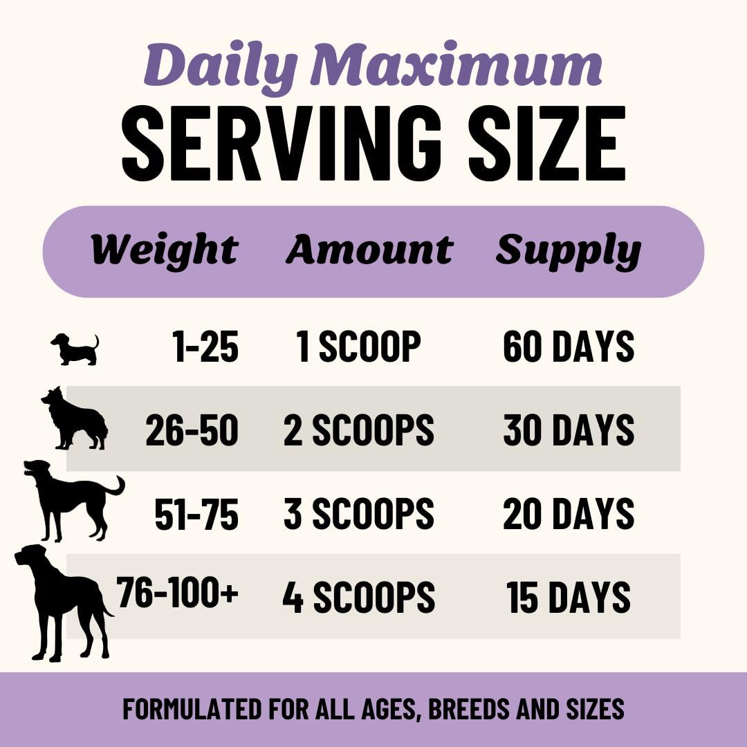 Fido's dog meal topping bowl demonstrates flavorful addition to kibble.