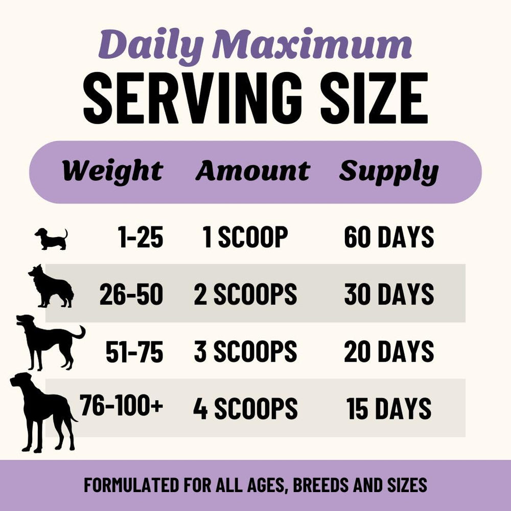 Fido's dog meal topping bowl demonstrates flavorful addition to kibble.