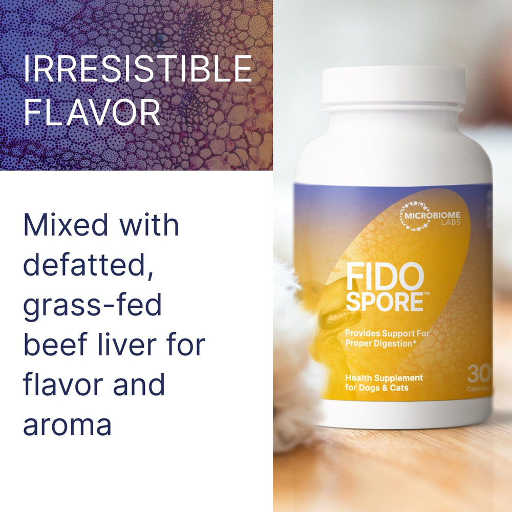 Fidospore Bacillus subtilis HU58 ingredient close-up for digestion.
