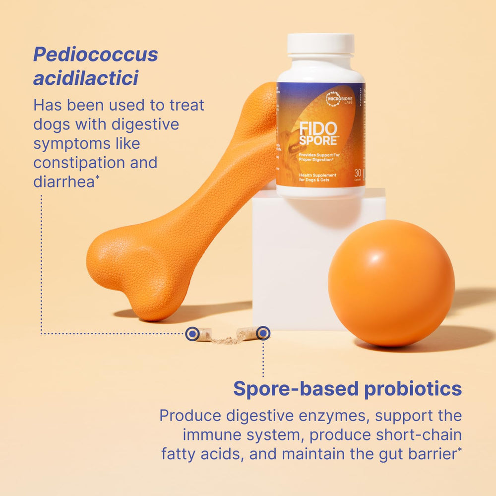 Fidospore dog and cat probiotics action visual for gut support.