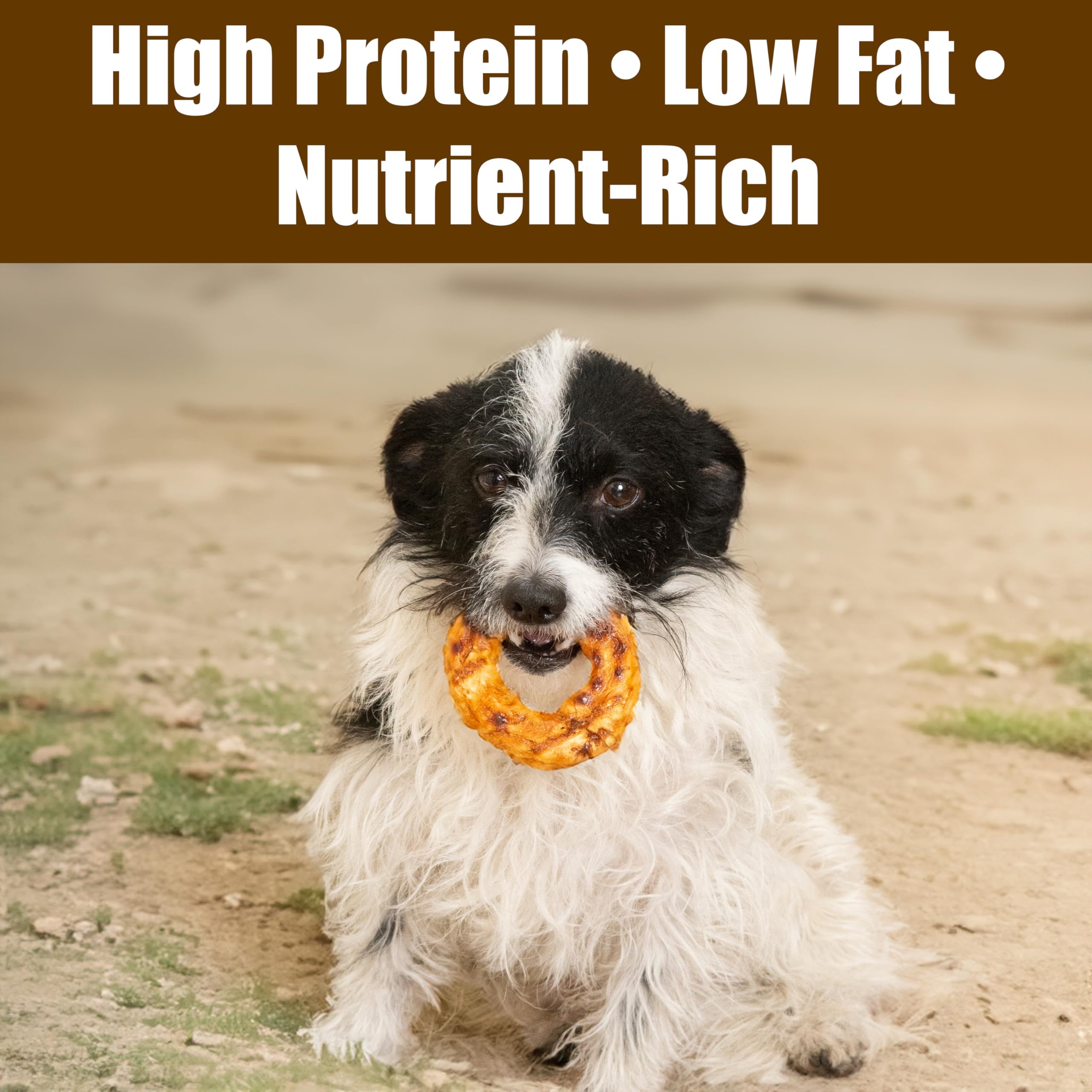 Fieldcrest Farms Nothin’ to Hide Bagel Beef shiny coat potential from collagen
