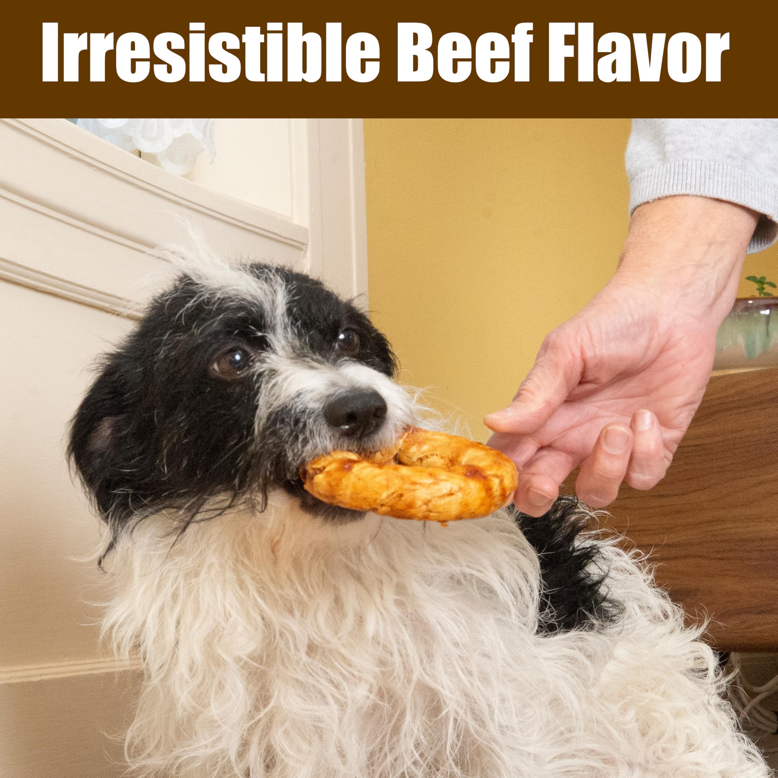 Fieldcrest Farms Nothin’ to Hide Bagel Beef ideal for small-dog use