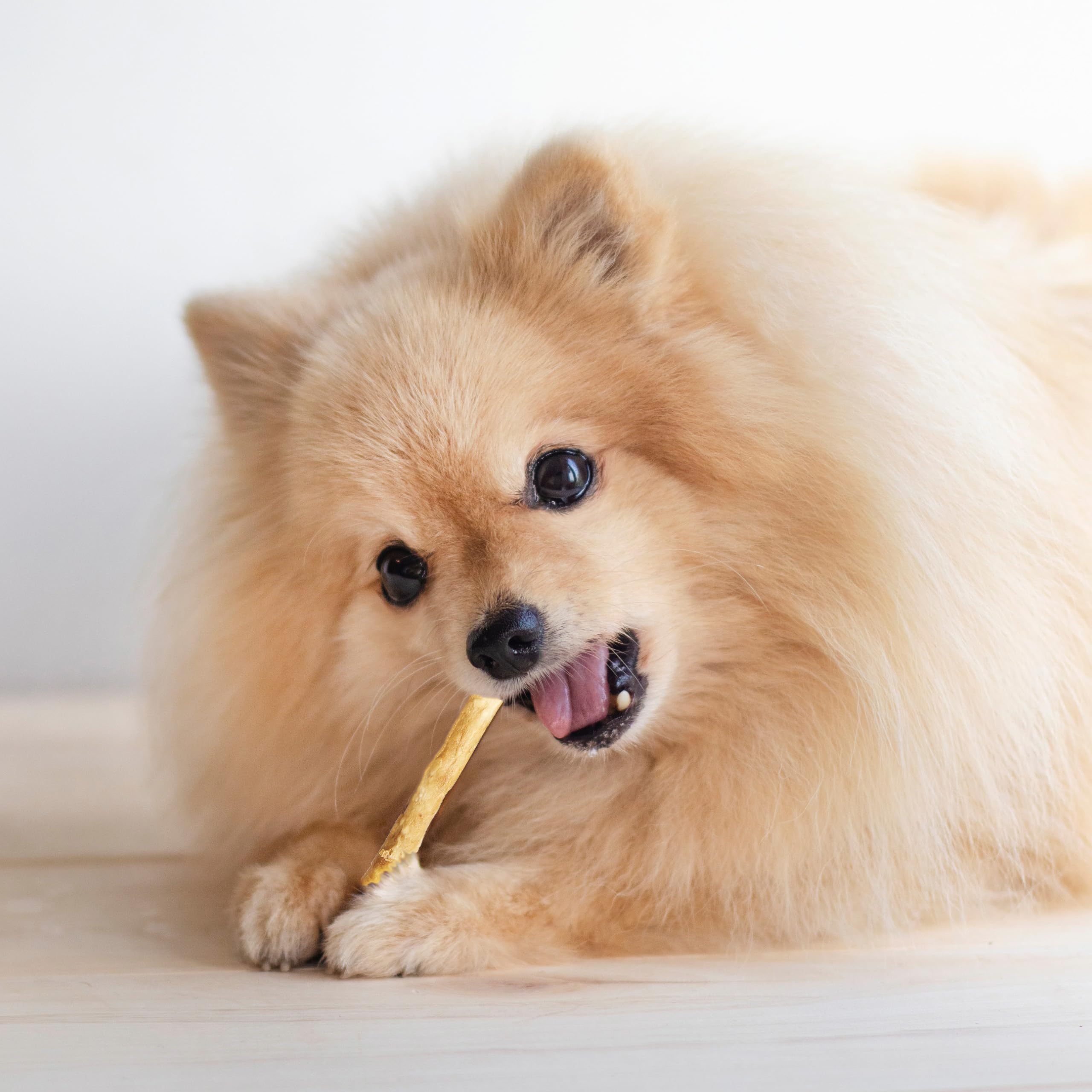 Fieldcrest Farms twist stix long-lasting chew reduces mess and promotes mindful chewing