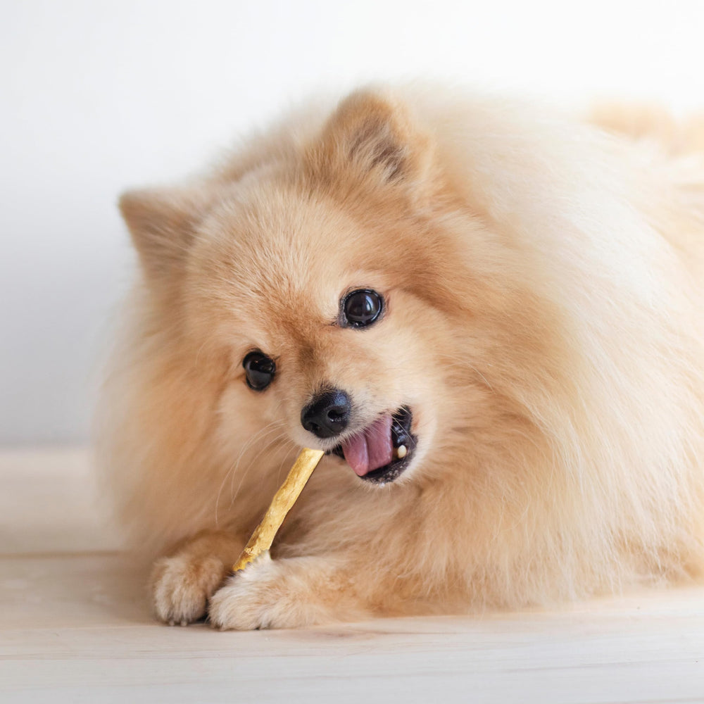 Fieldcrest Farms twist stix long-lasting chew reduces mess and promotes mindful chewing