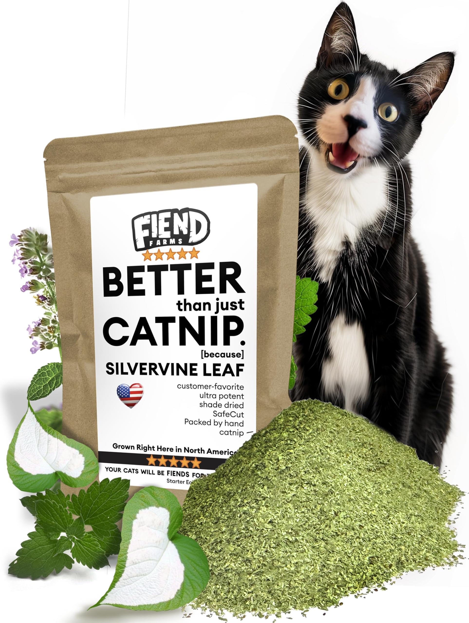 Fiend Catnip + Silvervine 11g pack ideal for cat playtime and enrichment