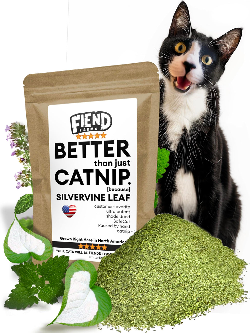 Fiend Catnip + Silvervine 11g pack ideal for cat playtime and enrichment