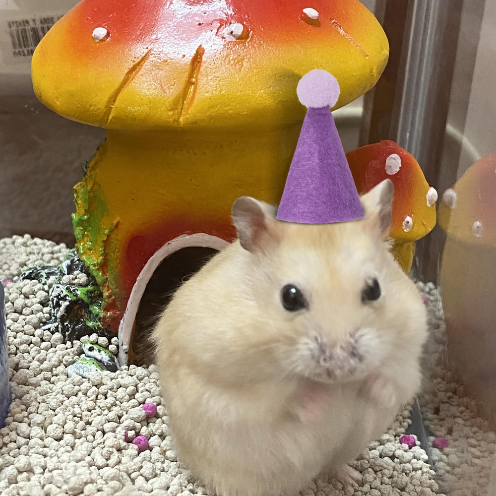 Fiestivo mini party hat for stuffed animals in purple enhances cute playtime scenes.