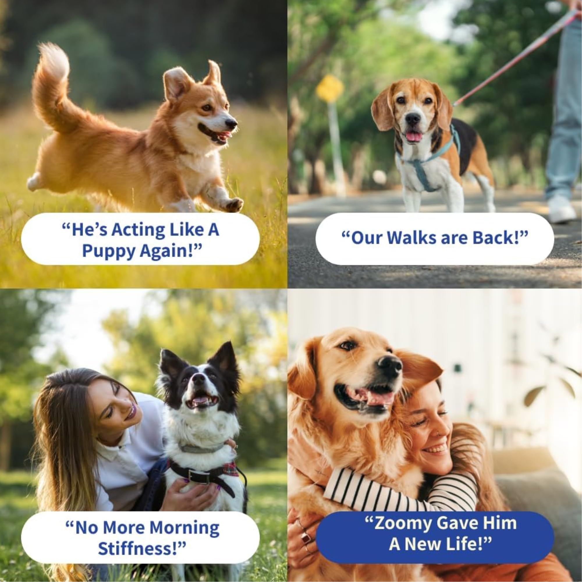 Fifth & Fido joint supplement mushroom blend supports canine vitality.