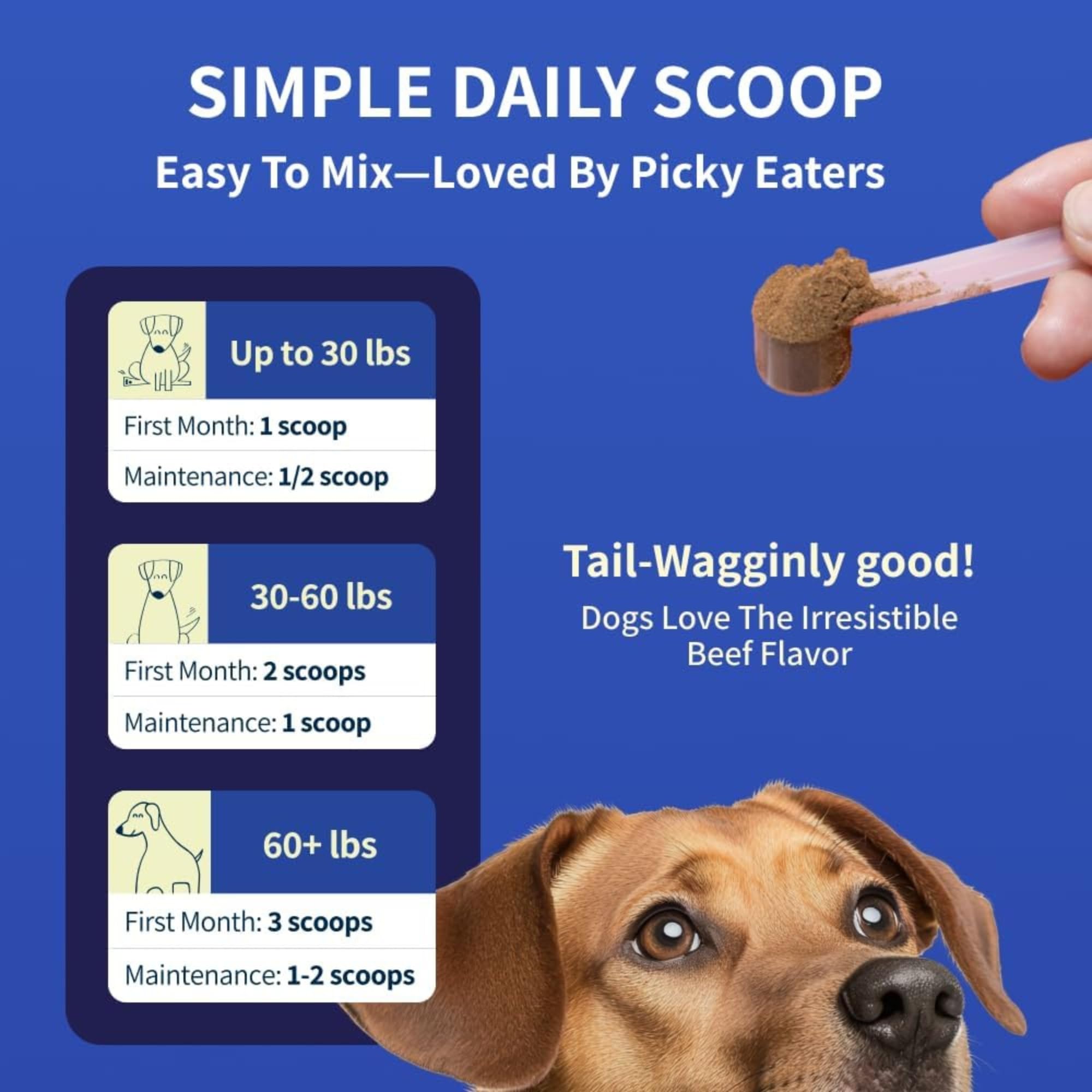 Fifth & Fido joint supplement USA packaging signals human-grade quality.