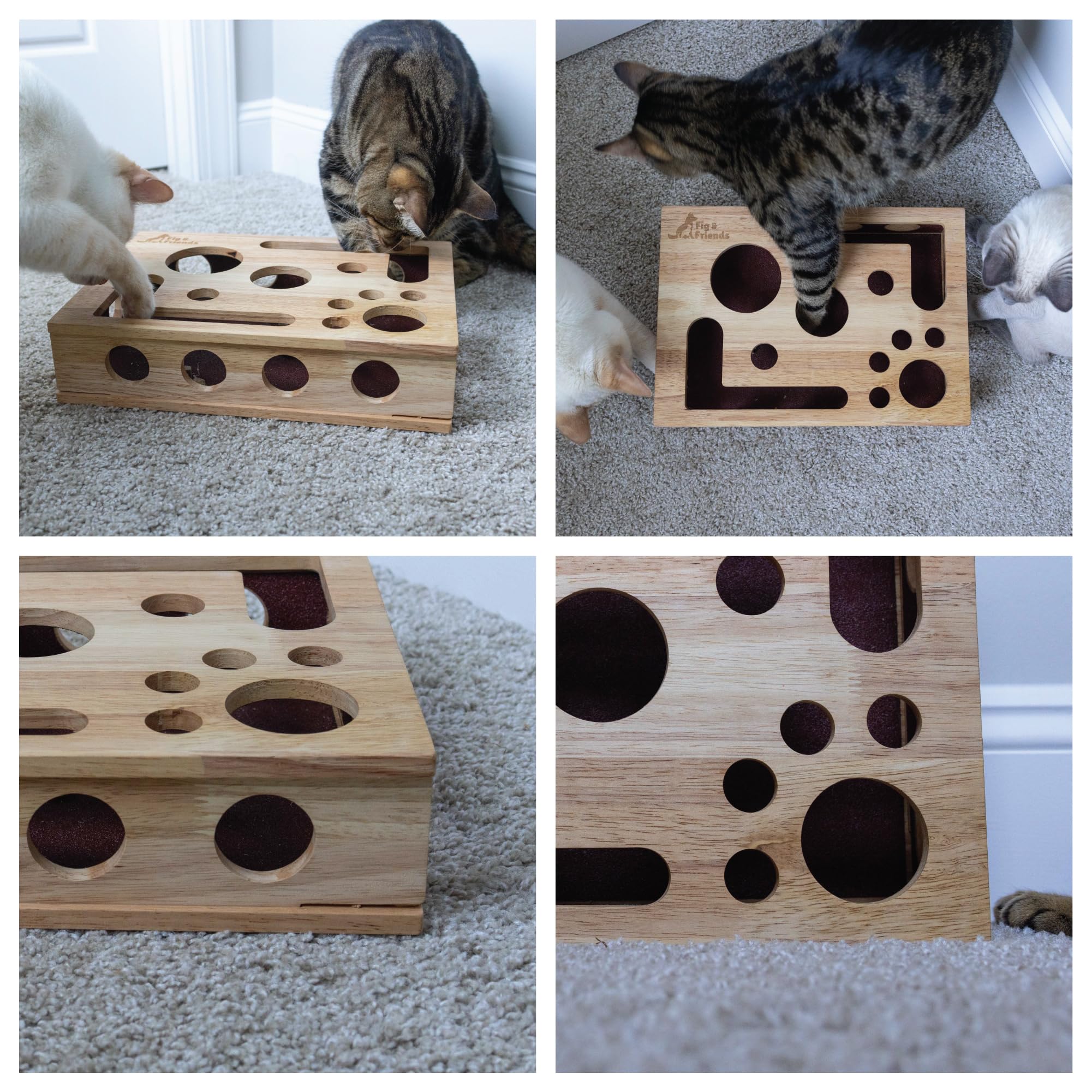Fig & Friends cat nail care session demonstrates easy grooming with enrichment.