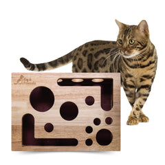 Fig & Friends cat nail file scratch box closeup demonstrates gentle claw care enrichment.