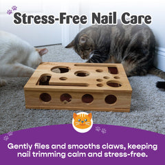 Fig & Friends cat nail file scratch box open shows ergonomic design for grooming.