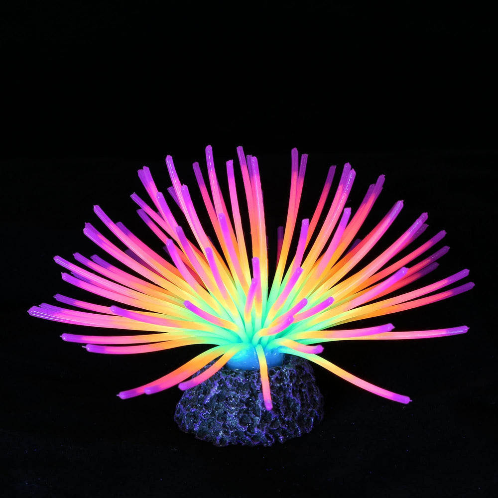 Filhome glowing fish tank decor glows under UV light for a magical nighttime display.