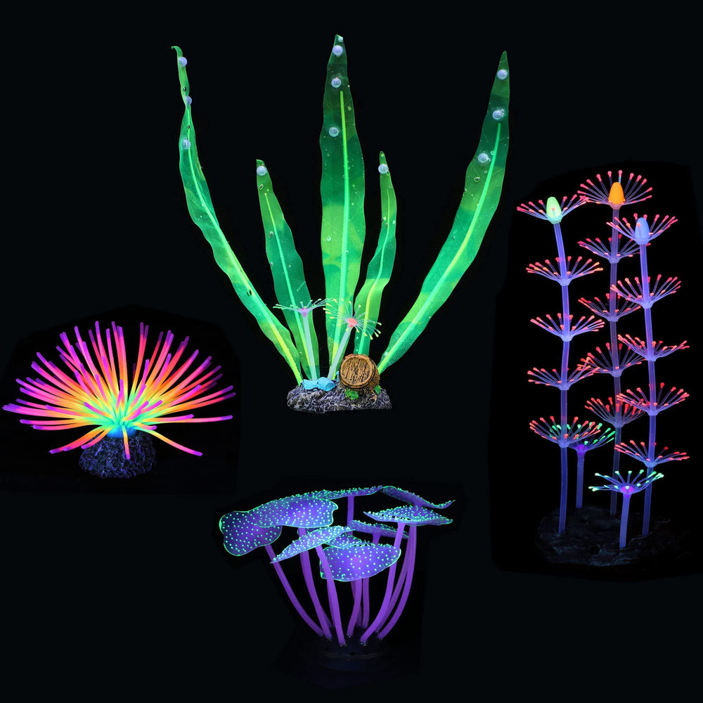 Filhome glowing fish tank decor Rainbow Sea Urchin Ball offers playful texture and hiding spots.