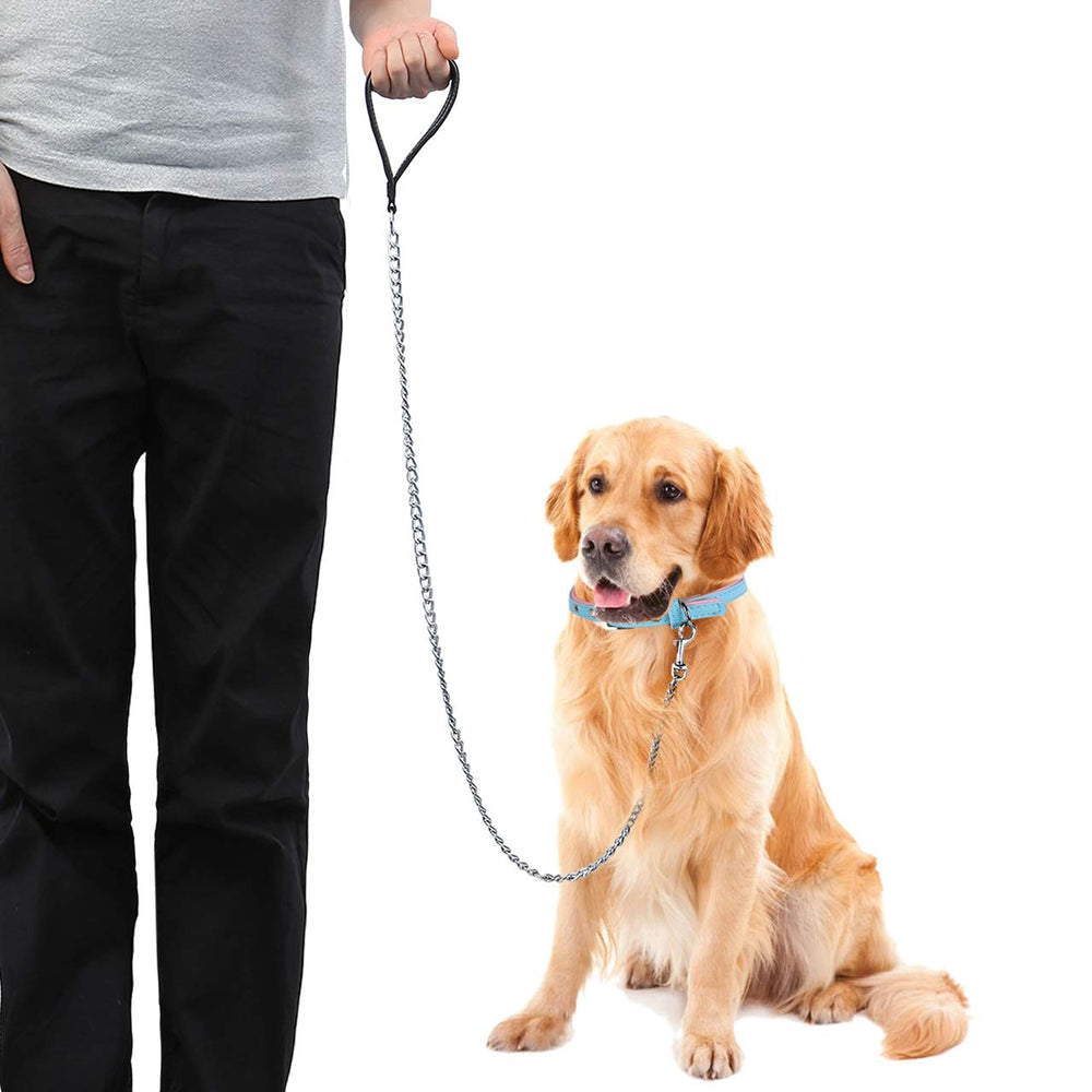 Filhome large-dog walking leash demonstrates length and comfort during outdoor use
