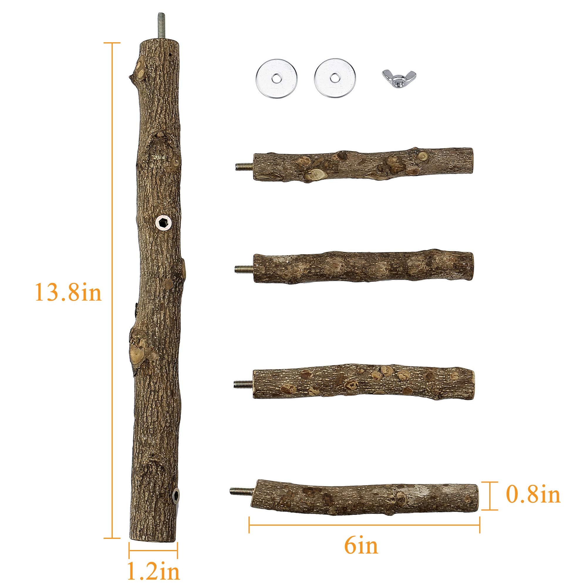 Filhome natural ash wood texture offers a safe chew surface for birds