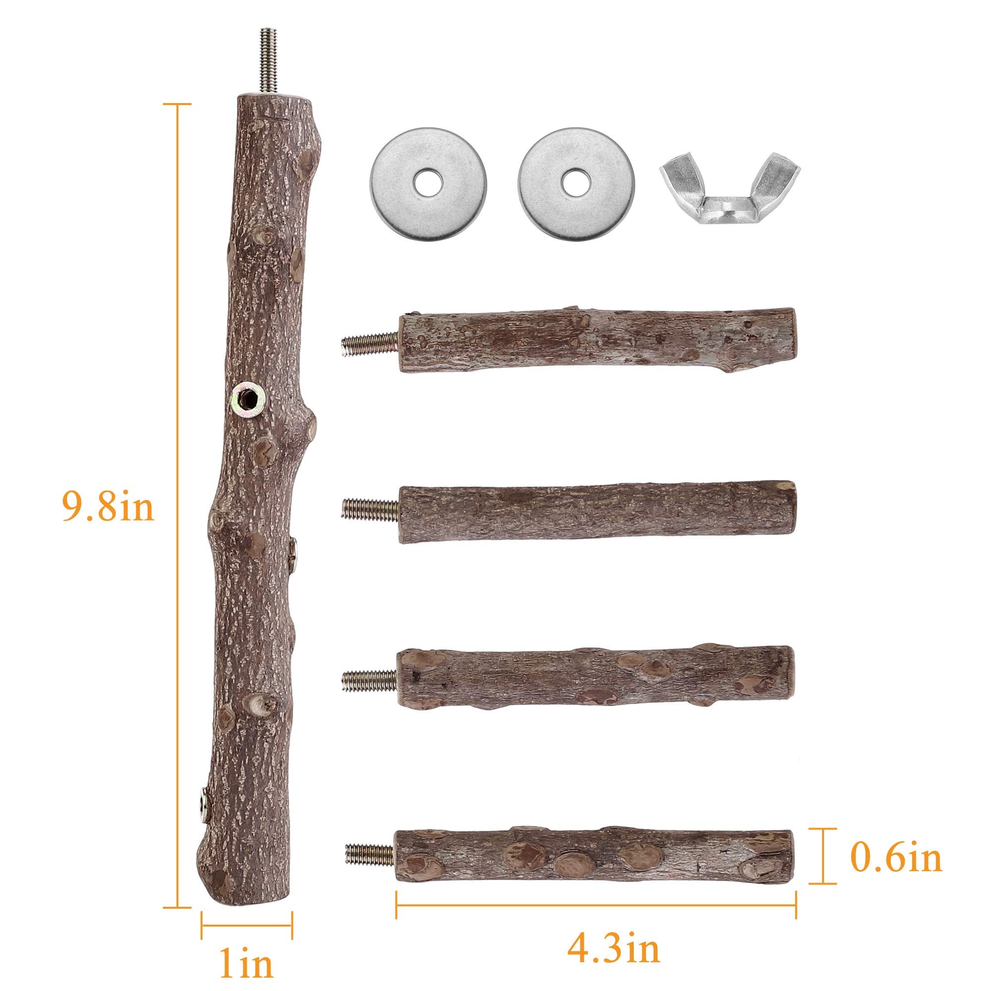 Filhome natural wood perch closeup highlights smooth texture for safe chewing.