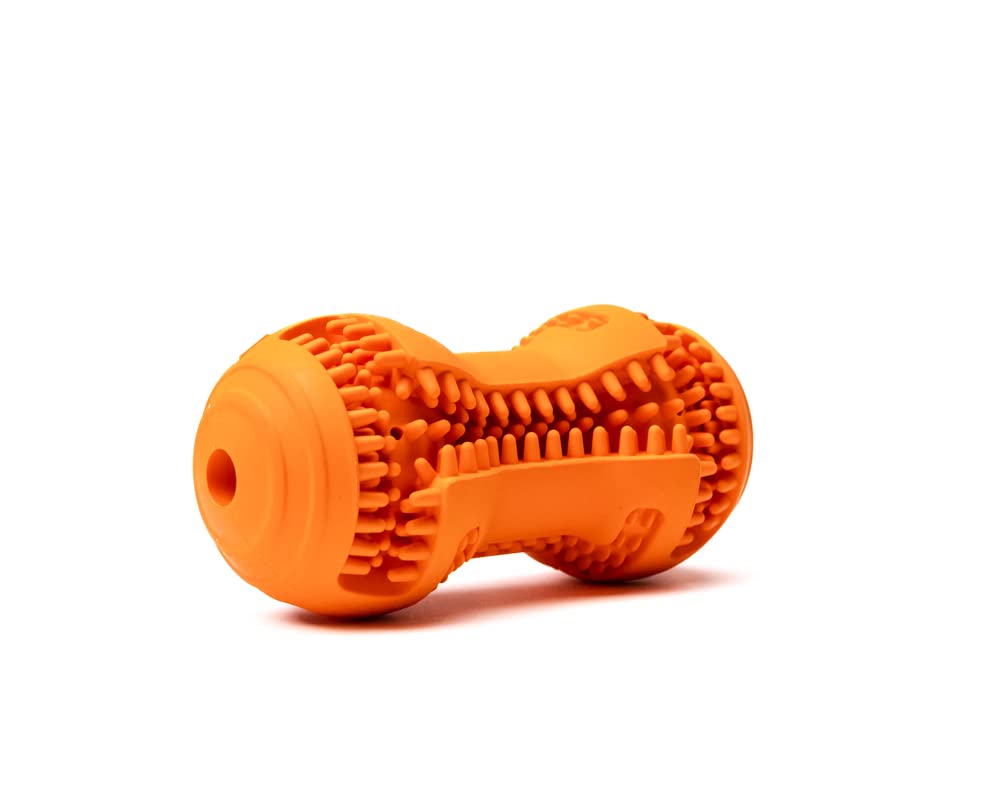 Fillable dog toy in use during a chew session promoting mental engagement