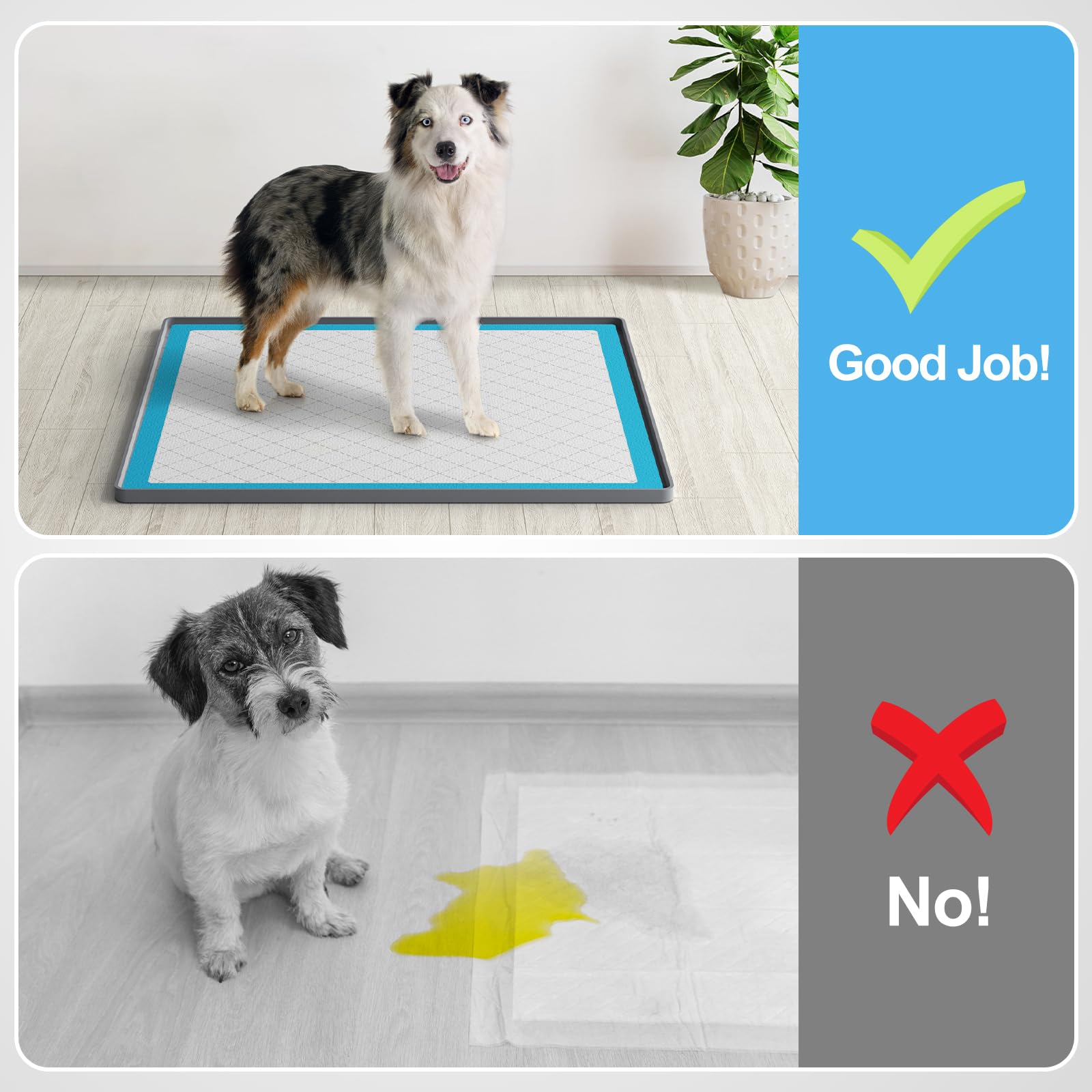 Filmicy silicone pad holder offers easy-clean surface for daily use.