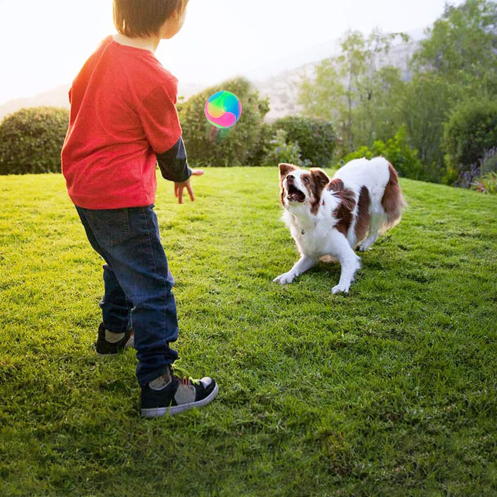 FineInno elastic dog ball bounce supports chasing agility