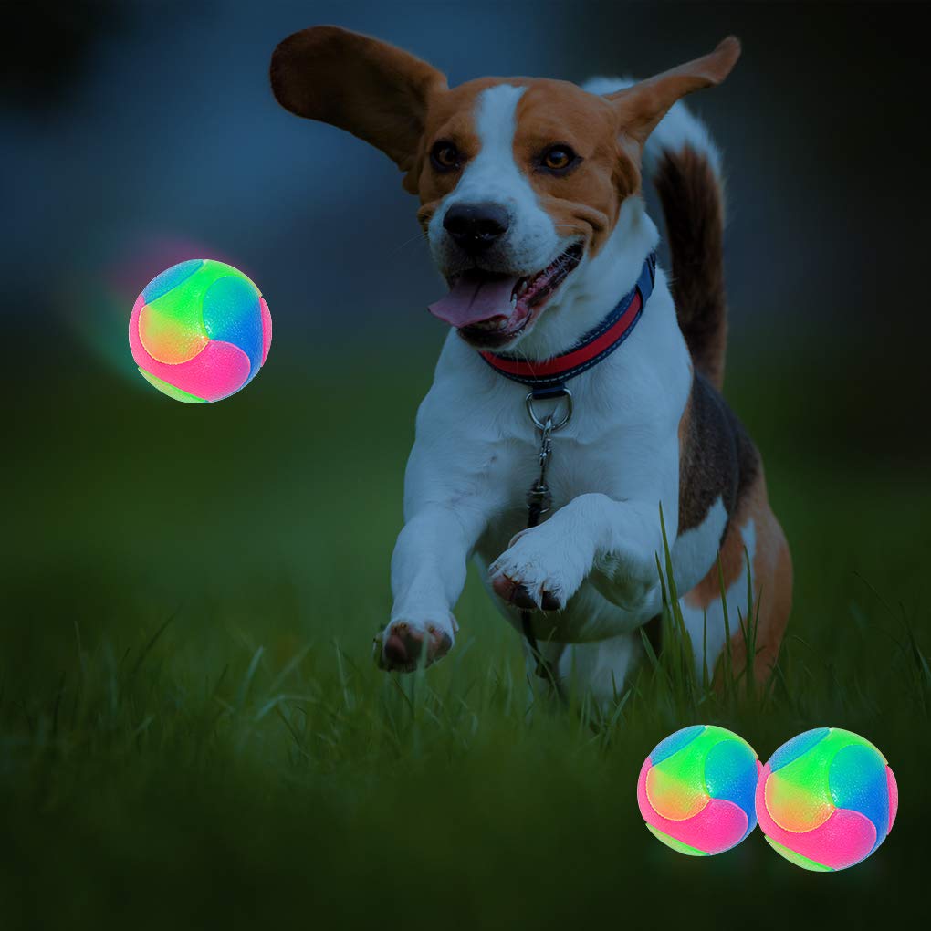 FineInno large light-up dog ball glow-in-dark daytime visibility