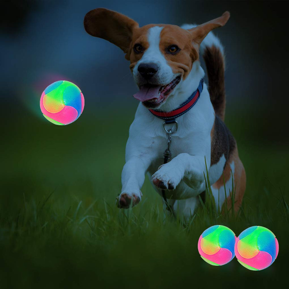 FineInno large light-up dog ball glow-in-dark daytime visibility