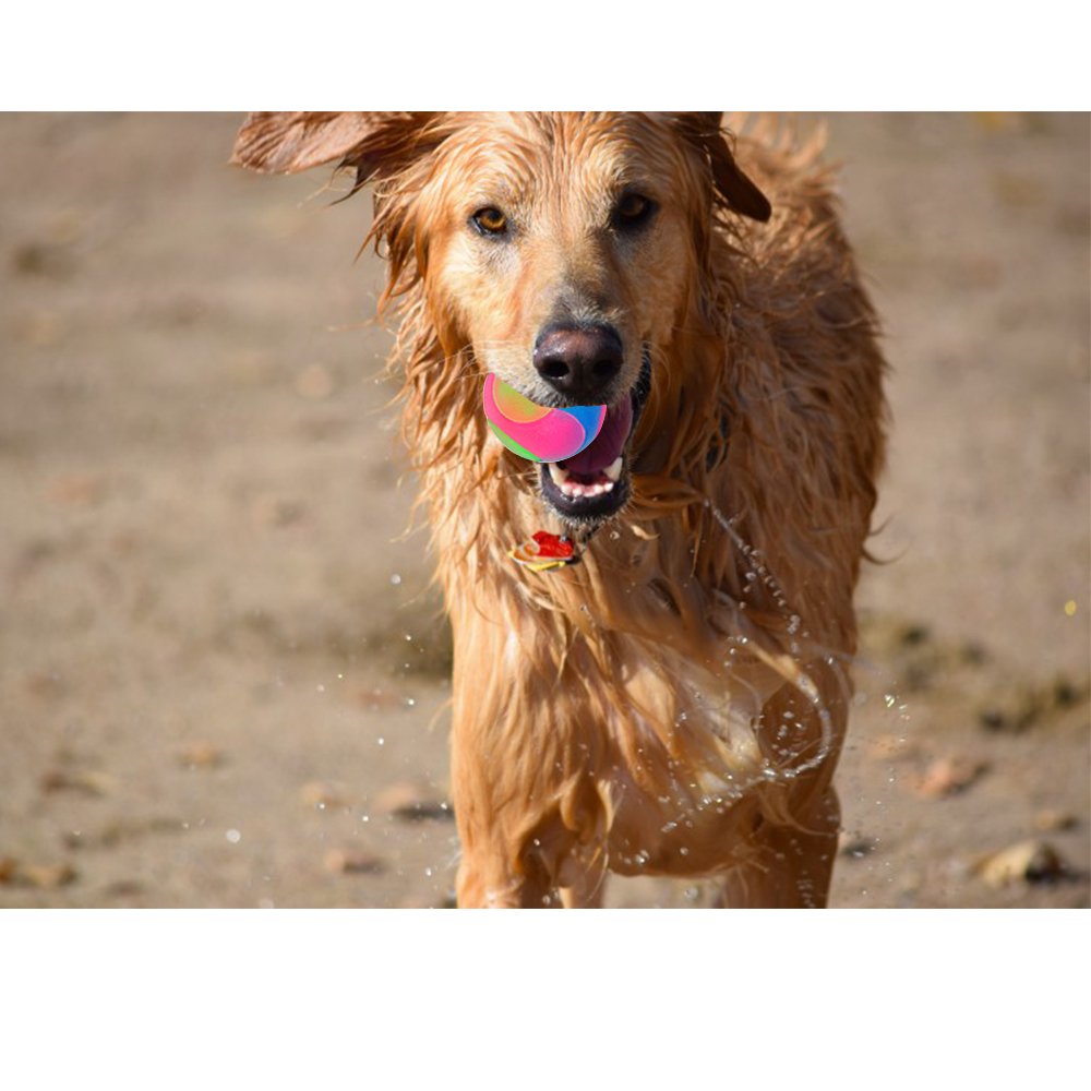 FineInno green glow ball supports interactive toy sessions at night.