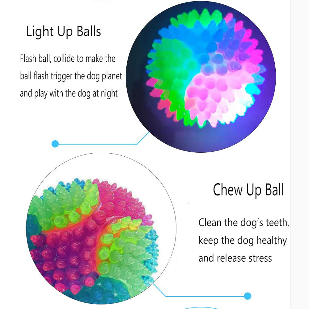 FineInno two-pack LED dog balls ready for shared play and bonding.