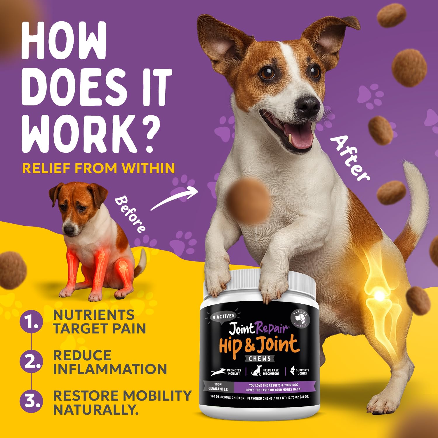 Finest For Pets Joint Repair dog chewing a chew treat during playtime