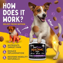 Finest For Pets Joint Repair dog chewing a chew treat during playtime
