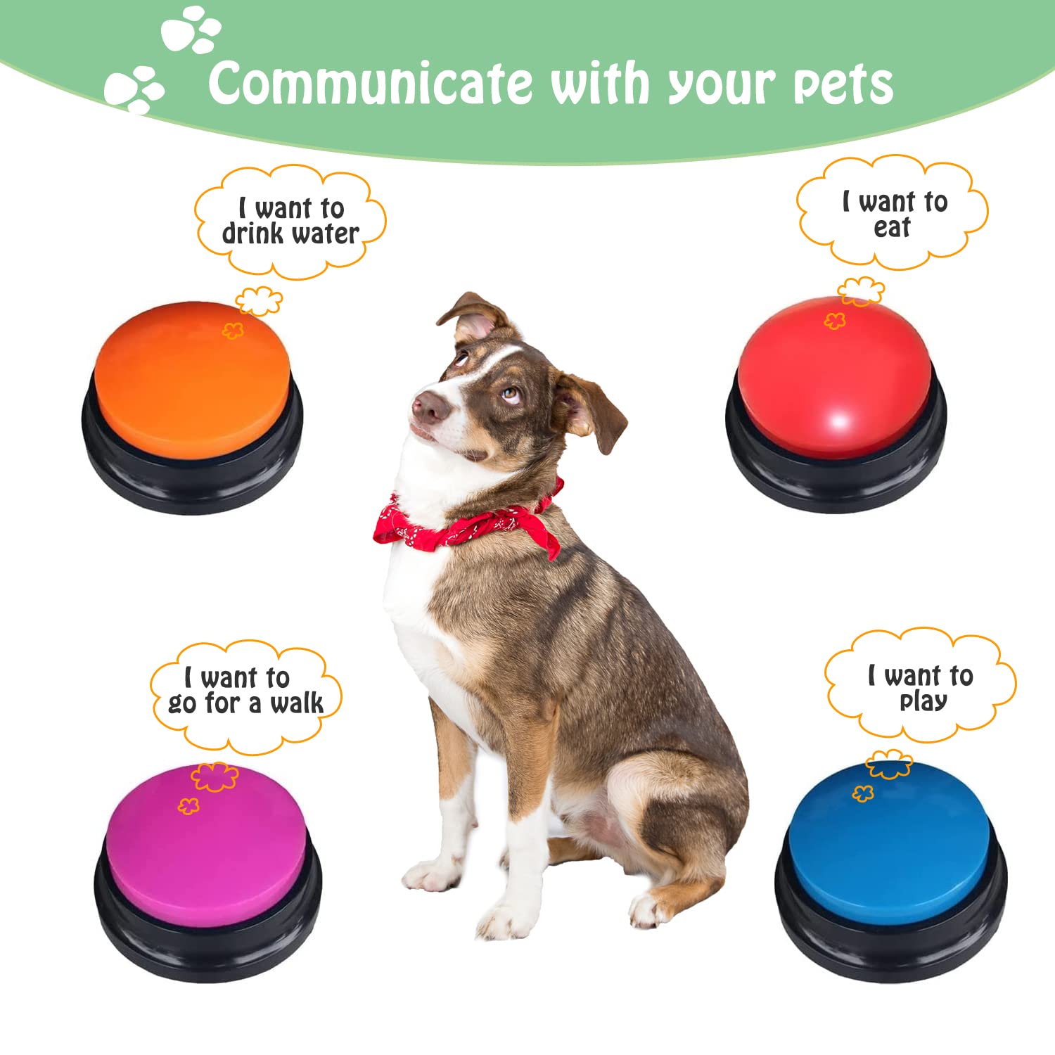 Finest+ voice-button-cat-communication shows playback to engage curious cats.